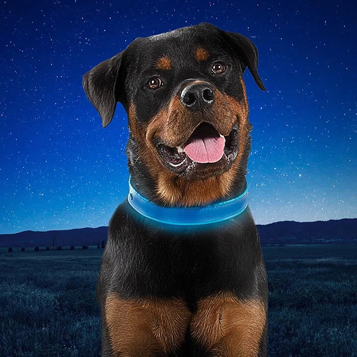 Nite-Ize Rechargeable Water Resistant LED Dog Collar - Glow or Flash modes